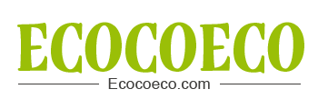 Ecocoeco
