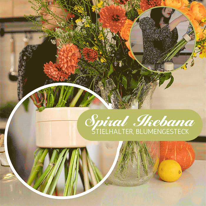 🎄Valentinstag-Angebote – 49 % RABATT🎄Spiraler Ikebana-Stielhalter