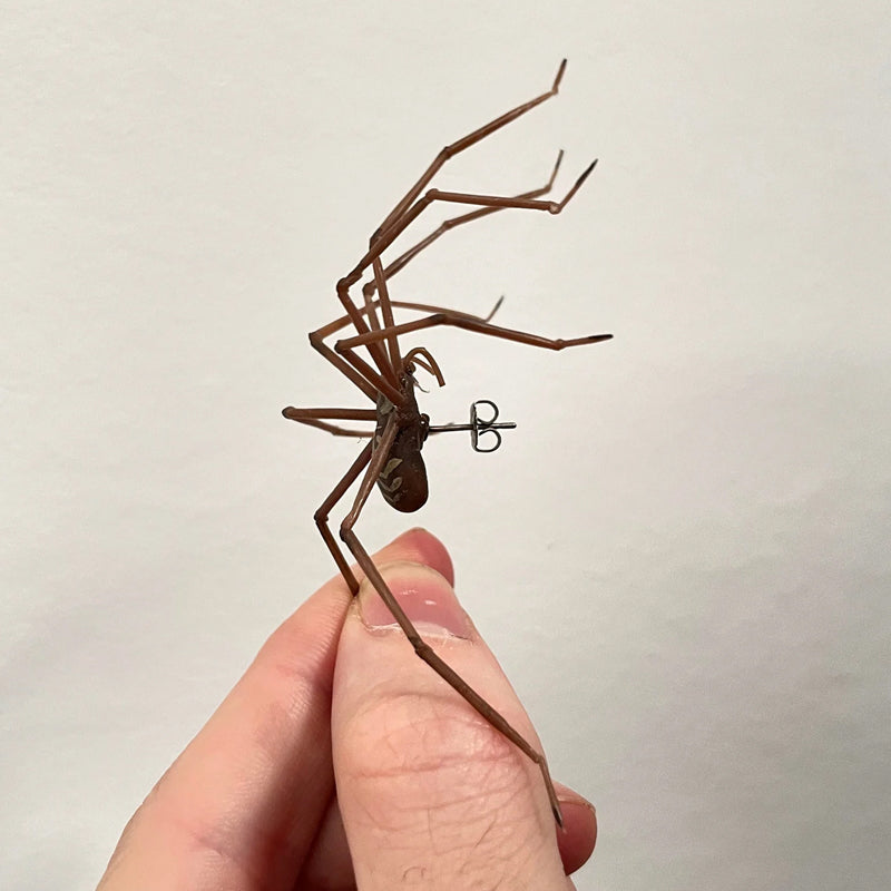 Riesenspinne Ohrringe
