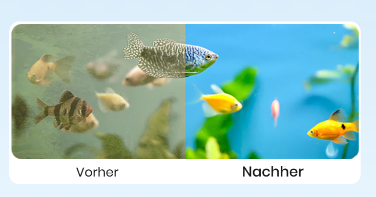 Wasseraufbereitungs-Tabletten für Aquarien