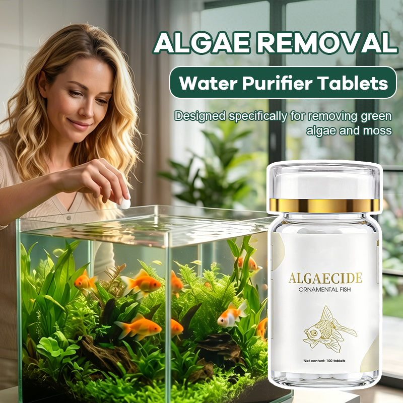 100 Stück Aquarien-Wasserreinigungstabletten