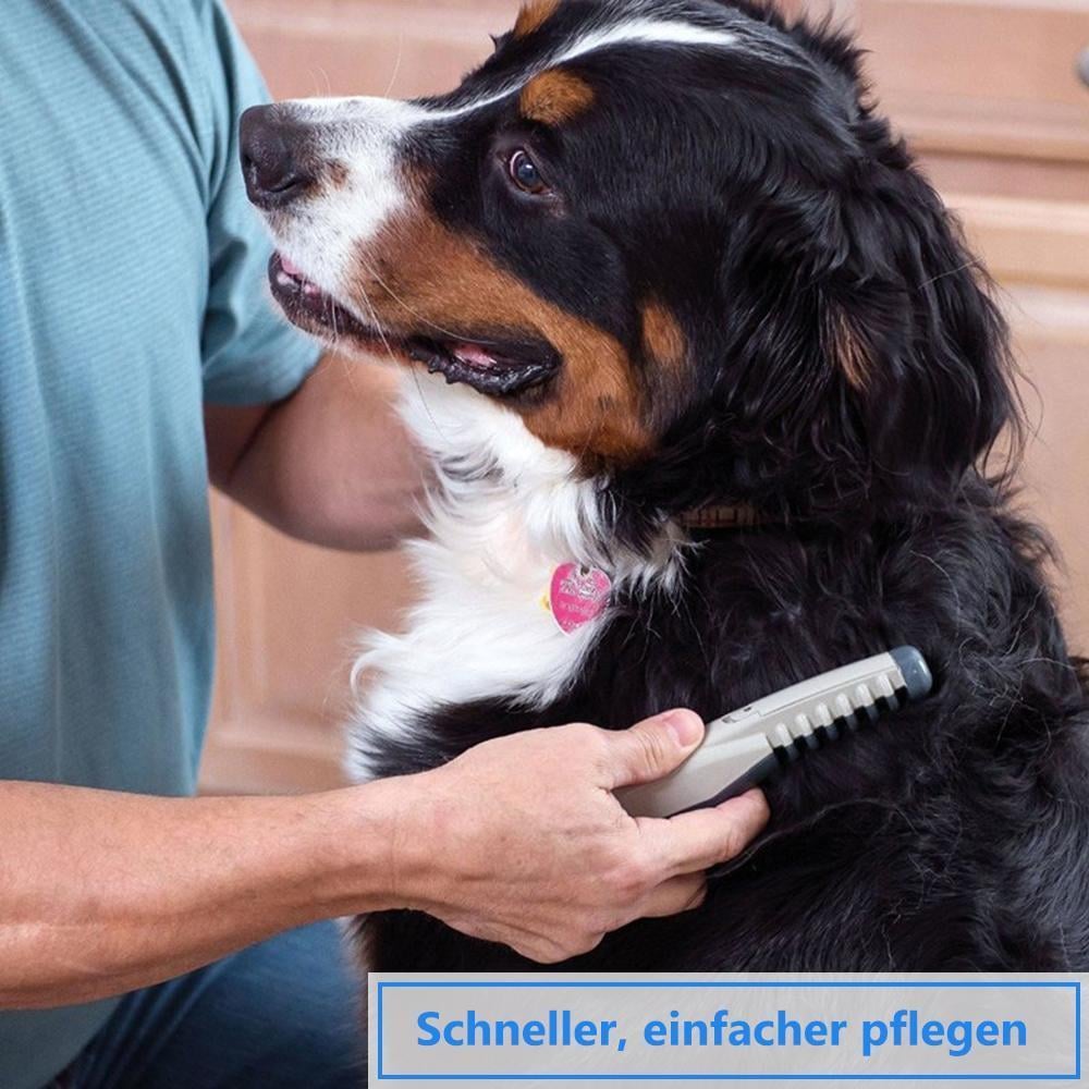 🔥🔥Haustier Pflegen Kamm