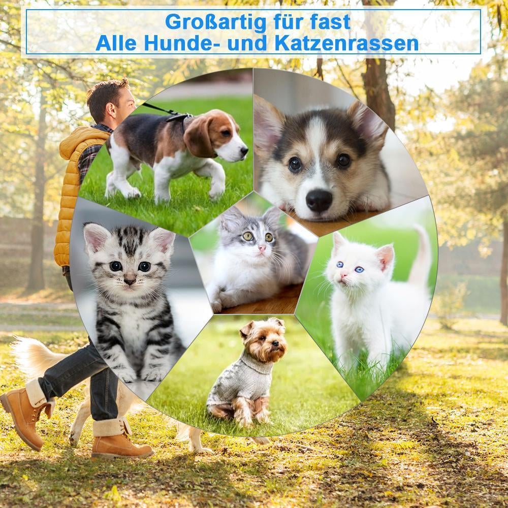 🔥🔥Haustier Pflegen Kamm