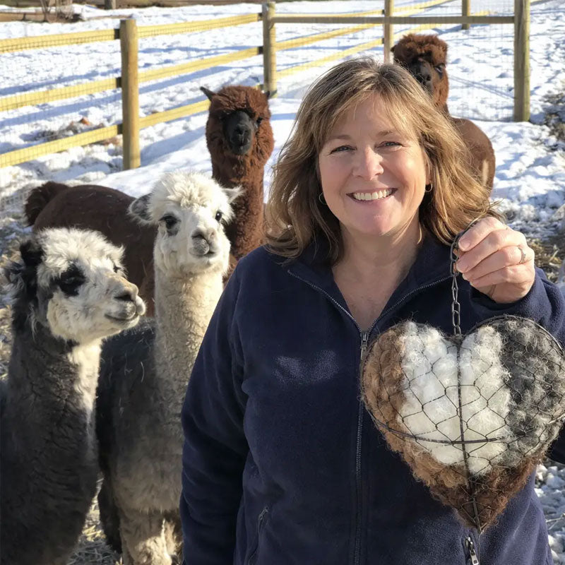 🕊️ Handgefertigtes Vogelnestherz aus Alpakafasern