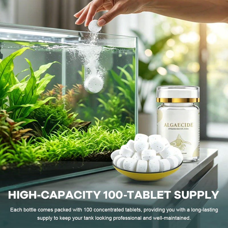 100 Stück Aquarien-Wasserreinigungstabletten