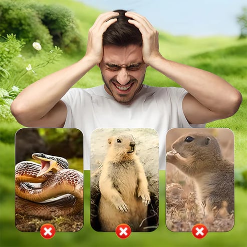 🌸 Super-Angebot: 50 % Rabatt ☘️ Solarbetriebener, wasserdichter Maulwurf- und Wühlmausschreck