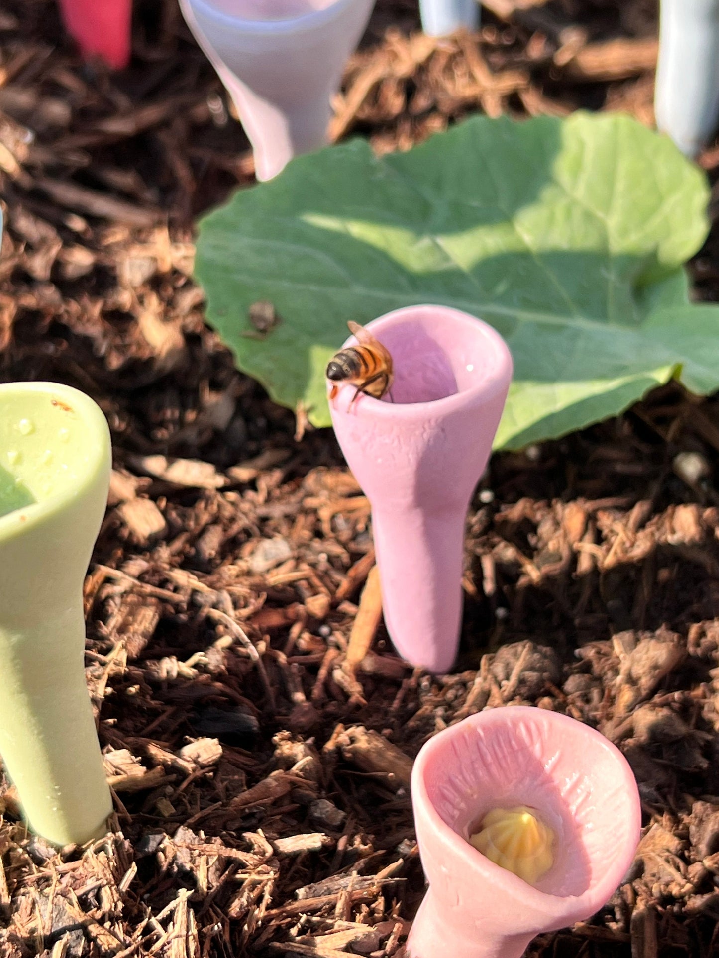👍Last-Day-Aktion 50 % RABATT💥Bienen-Insekten-Trinkbecher im 5er-Pack