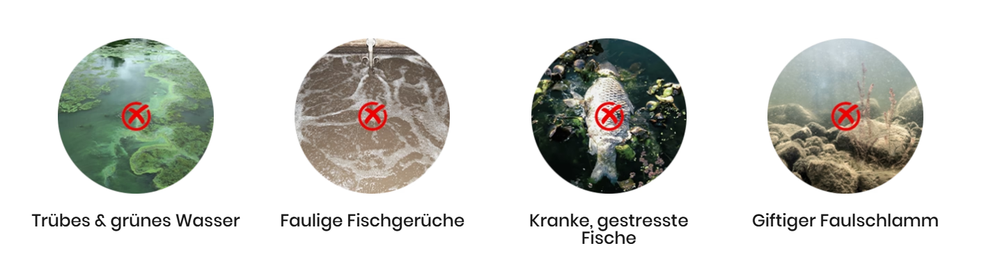 Wasseraufbereitungs-Tabletten für Aquarien