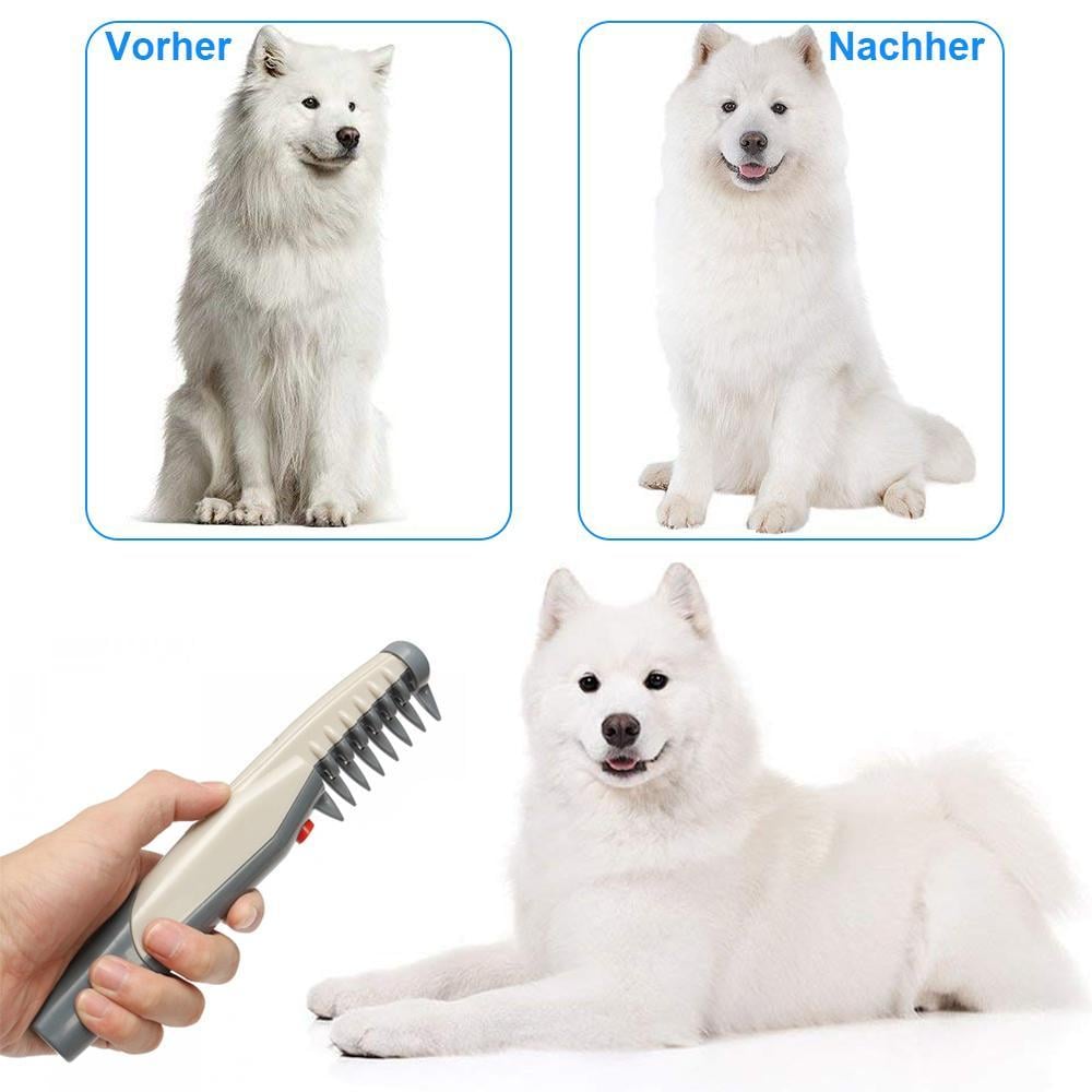 🔥🔥Haustier Pflegen Kamm