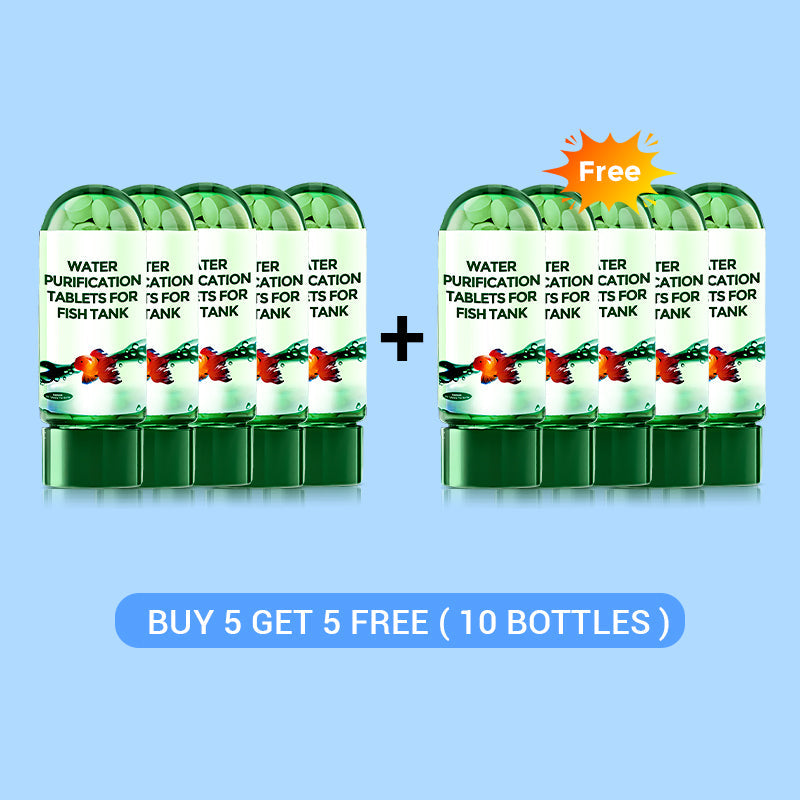 🔥 KAUF 2 + 1 GRATIS! Power-Wassertabletten – Trübes Wasser? In kurzer Zeit glasklar 💧