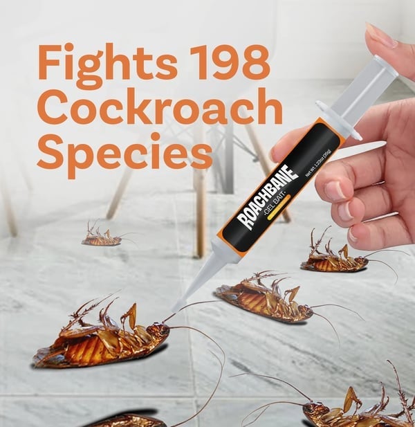 🔥Top-Angebot: 49 % Rabatt🔥 RoachBane Gel-Köder (Neu: Verbesserte Rezeptur)