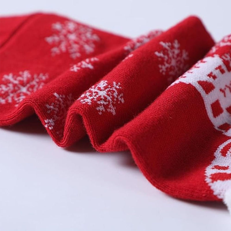 🎄🧦Magnetsocken Winteredition